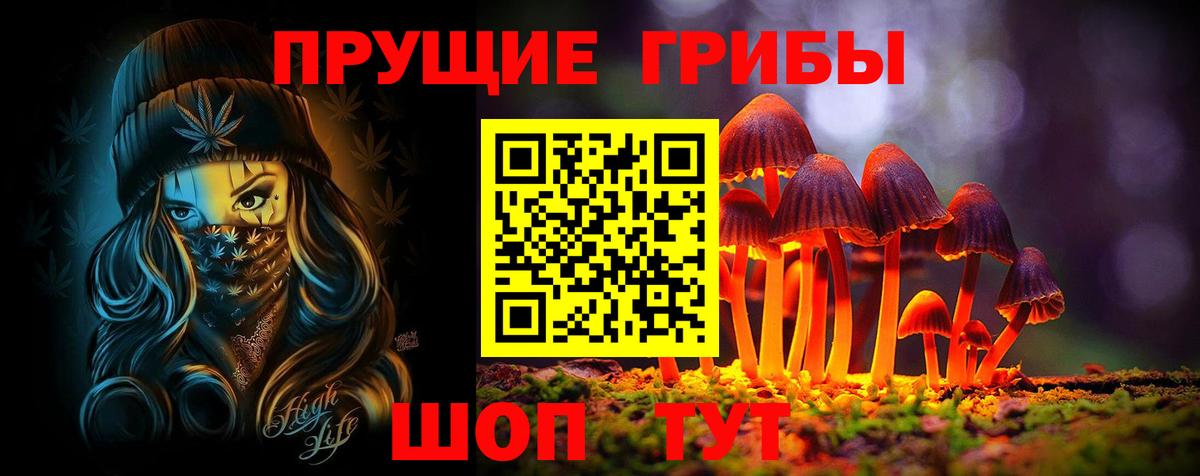 Псилоцибиновые грибы Cubensis Новотроицк