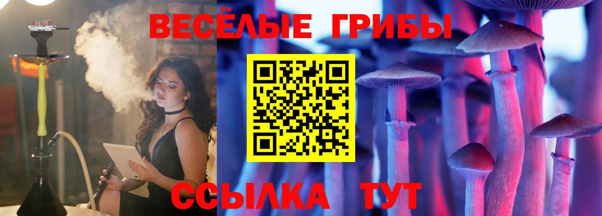 Новотроицк  магазин продажи наркотиков  Вход с VPN  Псилоцибиновые грибы Psilocybine cubensis  Псилоцибиновые грибы прущие грибы 